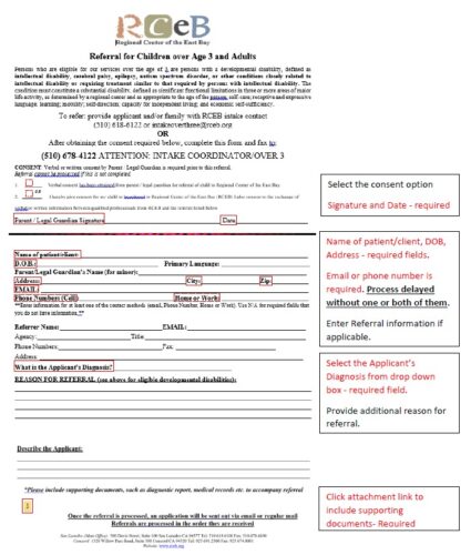 Submitting a General Inquiry for Services Online - RCEB